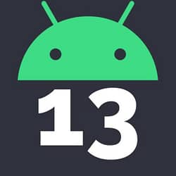 Android 13 Logo